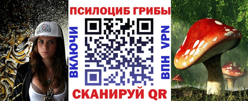 Псилоцибиновые грибы Magic Shrooms  сколько стоит  Томилино 