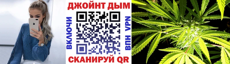 Конопля конопля  Томилино 